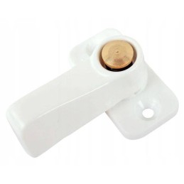 Security lock for the door of a camping trailer