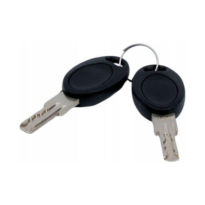 Keys for hsc lock system no. 482 2 pcs