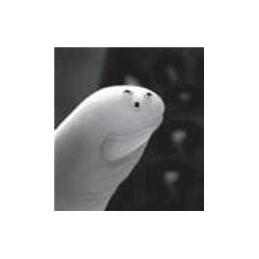 1 pcs : SM04253411 - Thermistors 25Kohm B-4110K SMD 0402