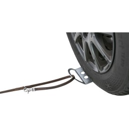 Trixie dog leash ramp