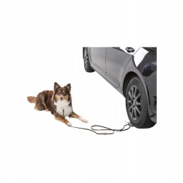 Trixie dog leash ramp