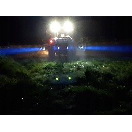 Blue LED work lamp for fork sprayer