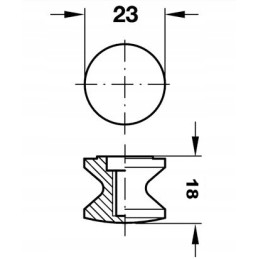 Button with rosette for push lock