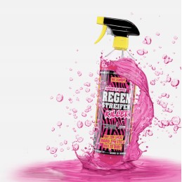 Woshup spray for removing stains on campers and caravans