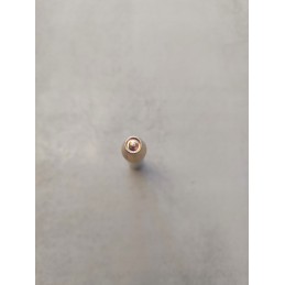 Crimping tool for a hollow rivet