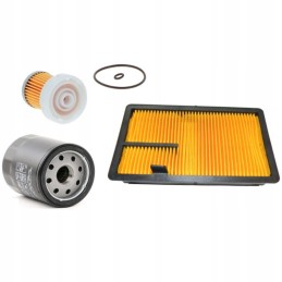 Aixam kubota z402 filters set