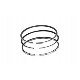 Piston rings std mitsubishi l3e engine