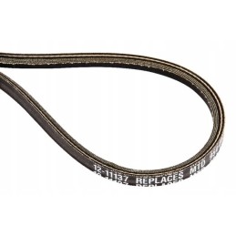 V-belt fgp800035