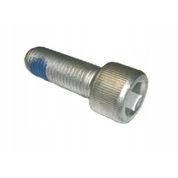 Alko trailer axle lever lever screw