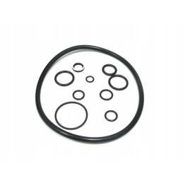 Hydraulic pump seal kit 4416583 still