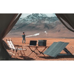 Ecoflow double-sided photovoltaic panel 220w