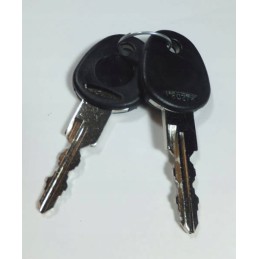 Cap with keys for the water filler cap for a fawo camper