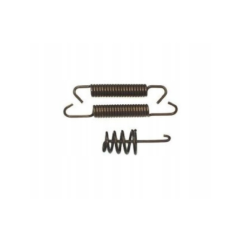 Brake spring set 200x50 knott