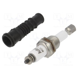 1 pcs x SCHNEIDER ELECTRIC - RM79696006 - Electrode, Zelio Control, stainless steel