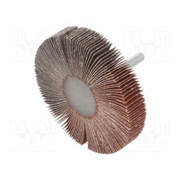 1 pcs x PG PROFESSIONAL - RG.099 - Wheel, Granularity: 120, Mounting: rod 6mm, with lever, Ø80x15mm