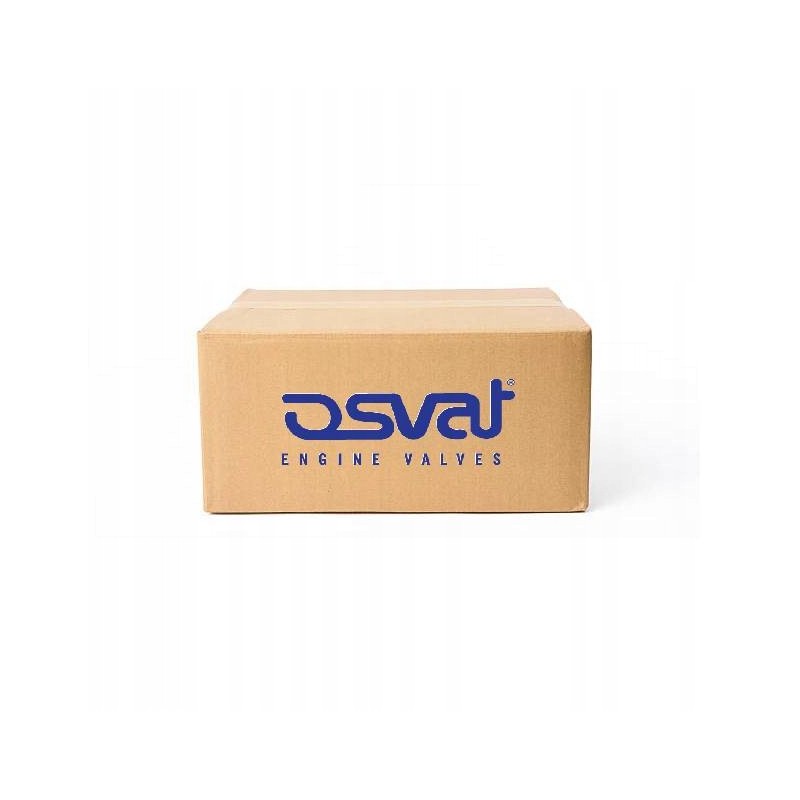 Intake intake valve 2091 osvat nissan opel