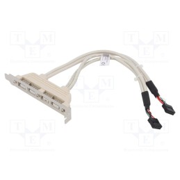 1 pcs x DIGITUS - AK-300304-002-E - Adapter, brackets on slot,USB 2.0, nickel plated, 0.25m, beige