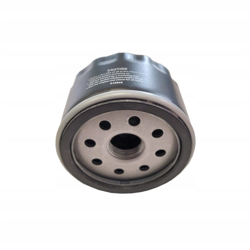 Lombardini ldw602 oil filter