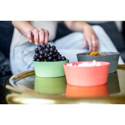 Set of 2 bowls 890ml koziol connect bowl 2 blue