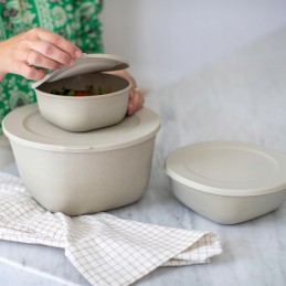 Concept food container 4 l red goat