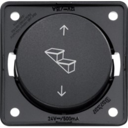 Step rocker switch Berker Integro 12 24v