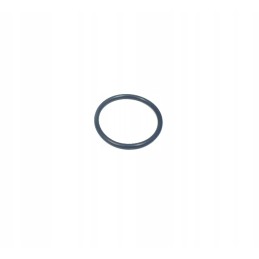 Shift O-ring 0009630411 Linde