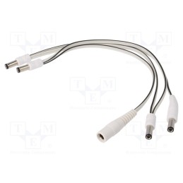 1 pcs x BQ CABLE - DC.SPL.1100.0035 - Cable, 2x0.5mm2, DC 5,5/2,1 plug x4,DC 5,5/2,5 socket, straight