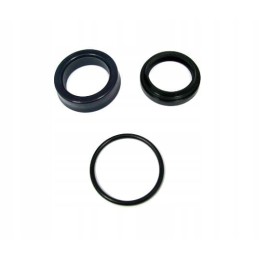 Lifting force seal set 0009608009 rope