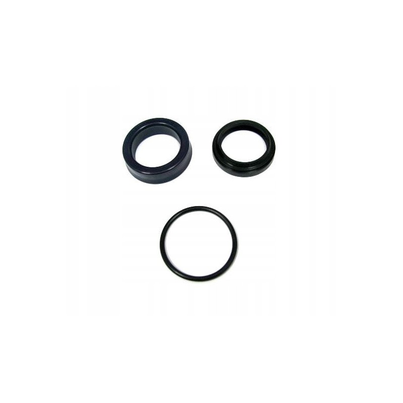 Lifting force seal set 0009608009 rope