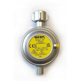 Camping gas reducer with private protection