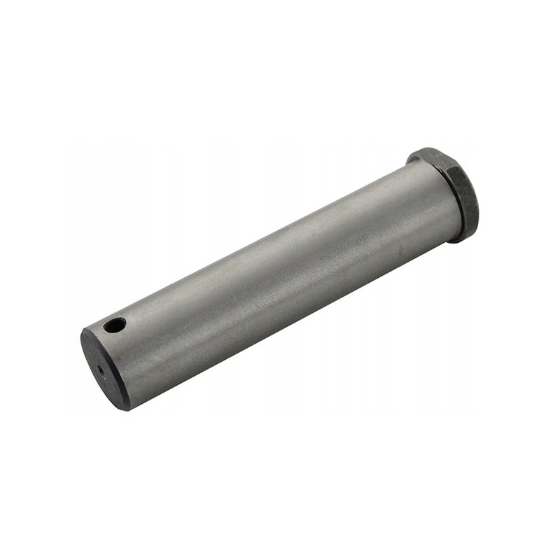 Torsion plate pin for WNA 1320 bogies