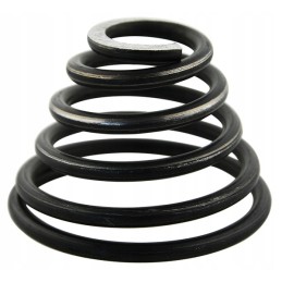 Gear lever spring 50011650