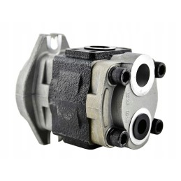 Hydraulic pump cpqd r series n163 601100 000