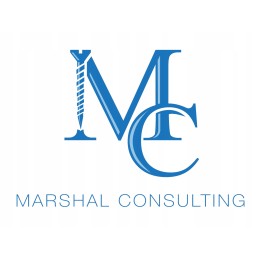 Multibond 26 bonding rubber to metal 100ml