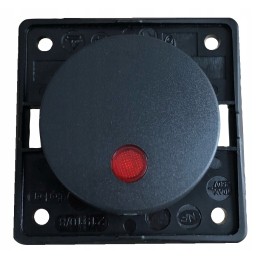 Rocker button with Berker indicator light