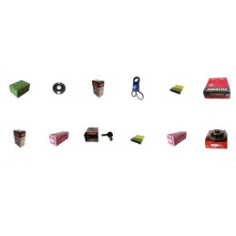 LPG gas installation kit, sequence injection