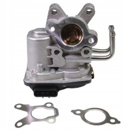 Birth egr valve