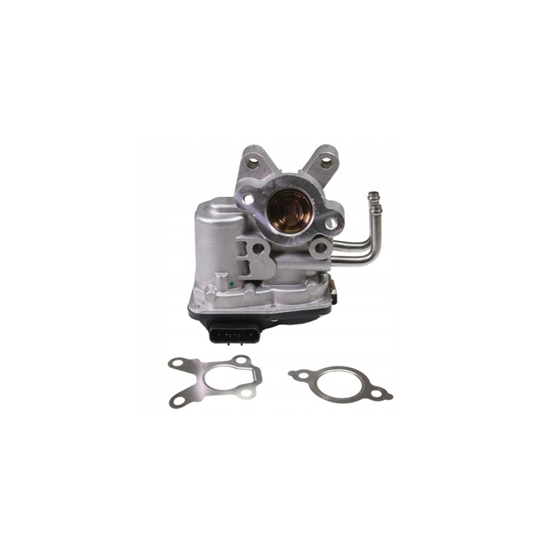 Birth egr valve