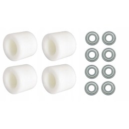 Set of rollers with tandem bearings, AC25 carriage