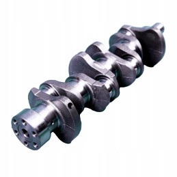 Crankshaft forklift engine Nissan K21