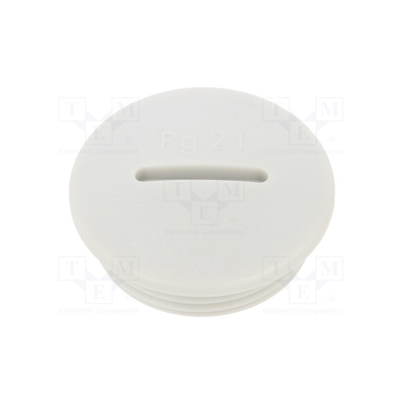 1 pcs x LAPP - 52024853 - Stopper, PG21, IP54, polyamide, light grey, SKINDICHT® BLK-GL, 8mm