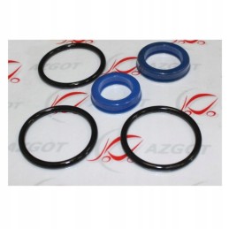 Set of servo seals gpw gliwice 2007 2009 2510