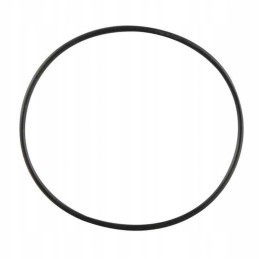 Terma Truma O-ring boiler seal 65 x 2 mm