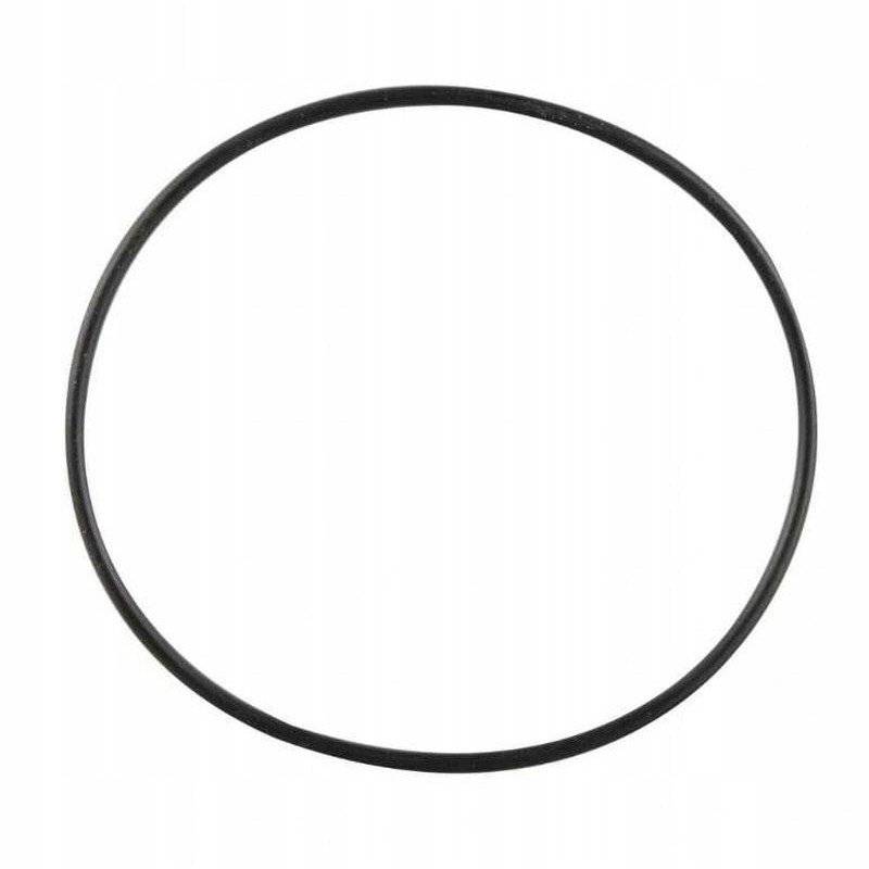 Terma Truma O-ring boiler seal 65 x 2 mm