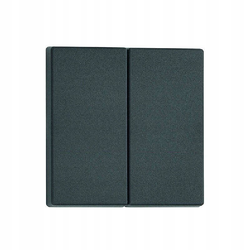 Double keys light switch black fawo