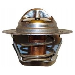 Thermostat 50021557 jungheinrich