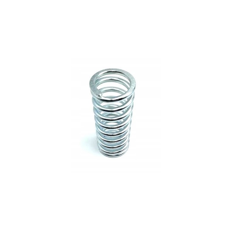 Backpack pump spring BF 48x112 mm
