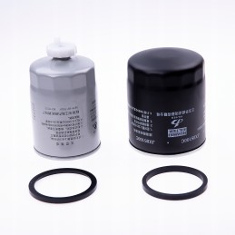 Filter hangcha filters 2 3 5t r engine A498 A495