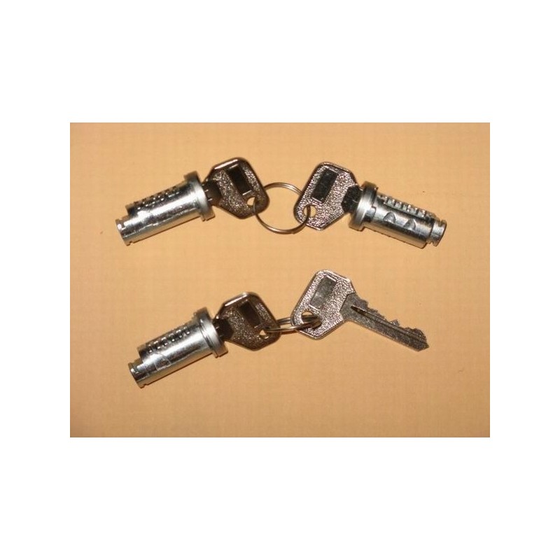 Cylinder container lock insert, unknown key