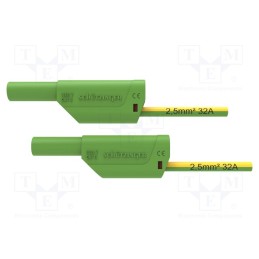 1 pcs x SCHu00dcTZINGER - VSFK 8500 / 2.5 / 100 / GNGE - Test lead, 32A, banana plug 4mm,both sides, Urated: 1kV, Len: 1m